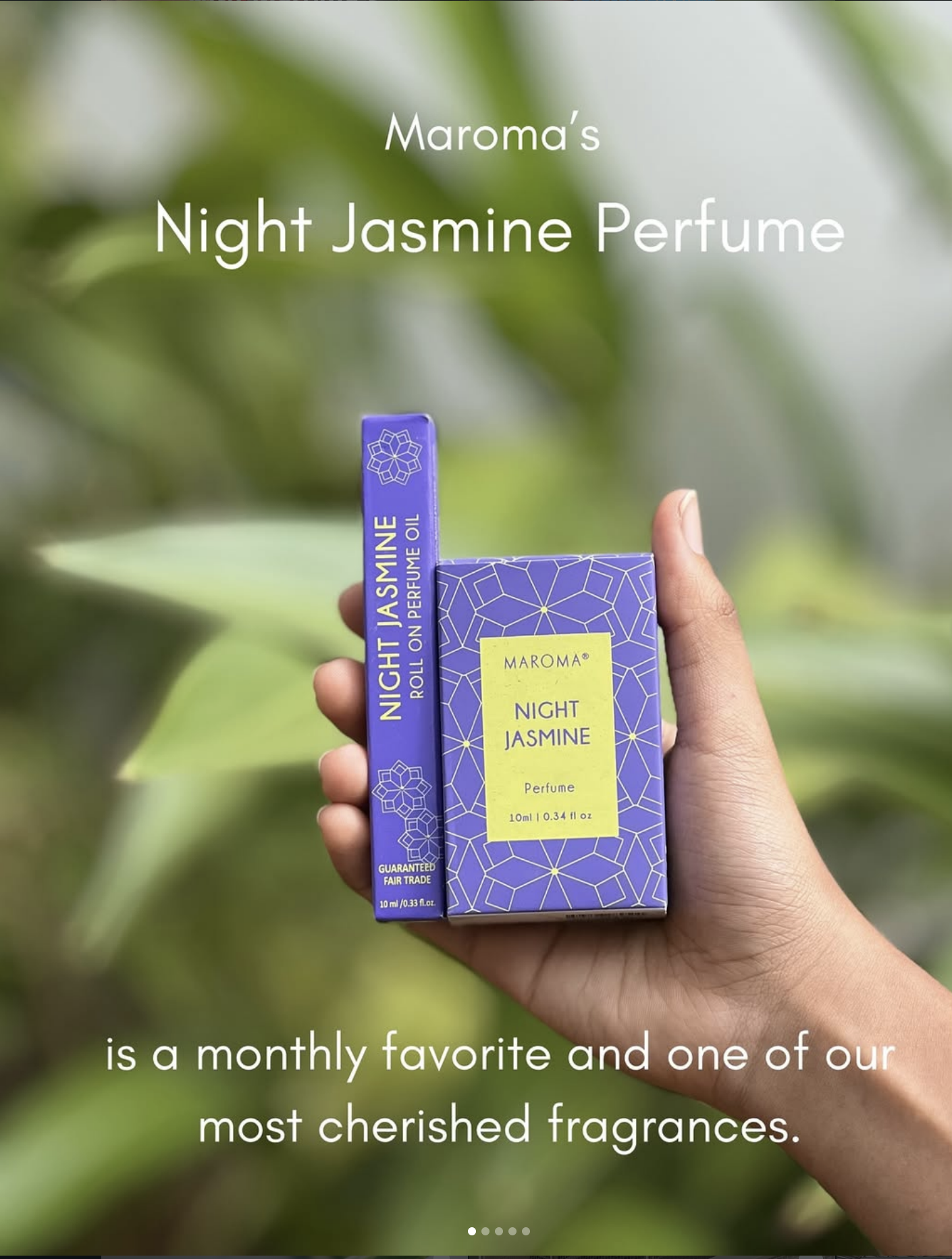 Night Jasmine: A Fragrance That Never Fades
